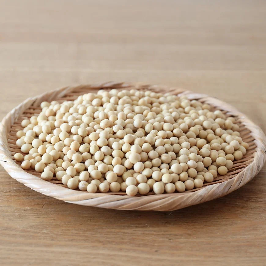 Hokkaido Large Grain Soybeans "Yukihomare" 500g - Pesticide Free, Chemical Free