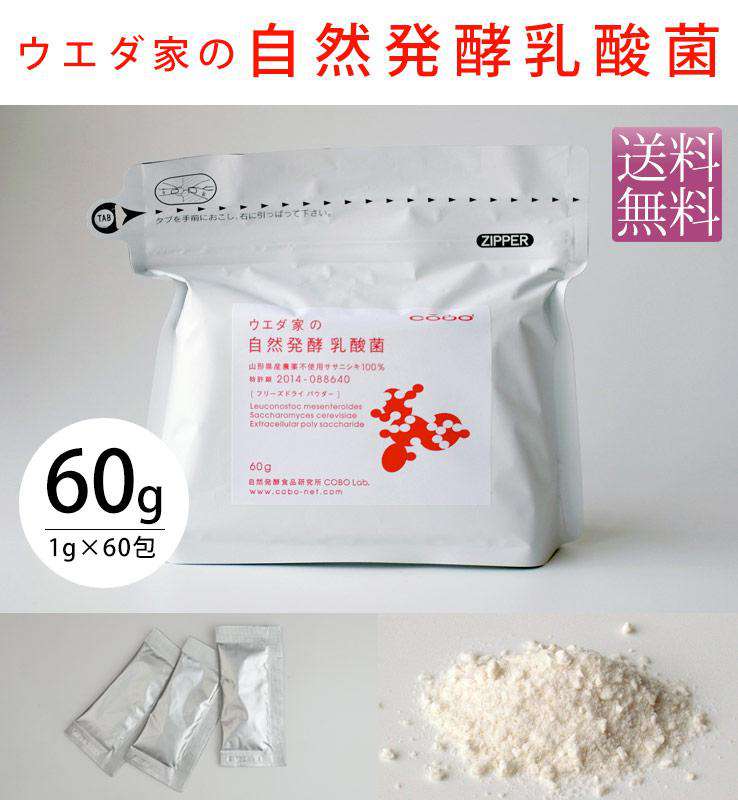 ウエダ家の自然発酵乳酸菌60g(1g x60包)