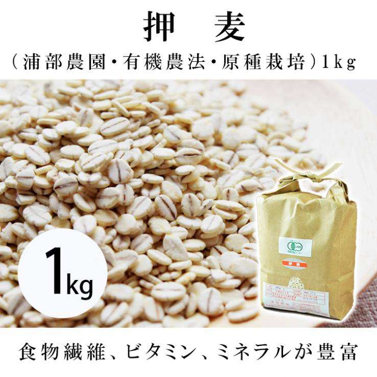 押麦(浦部農園・有機農法・原種栽培)1㎏