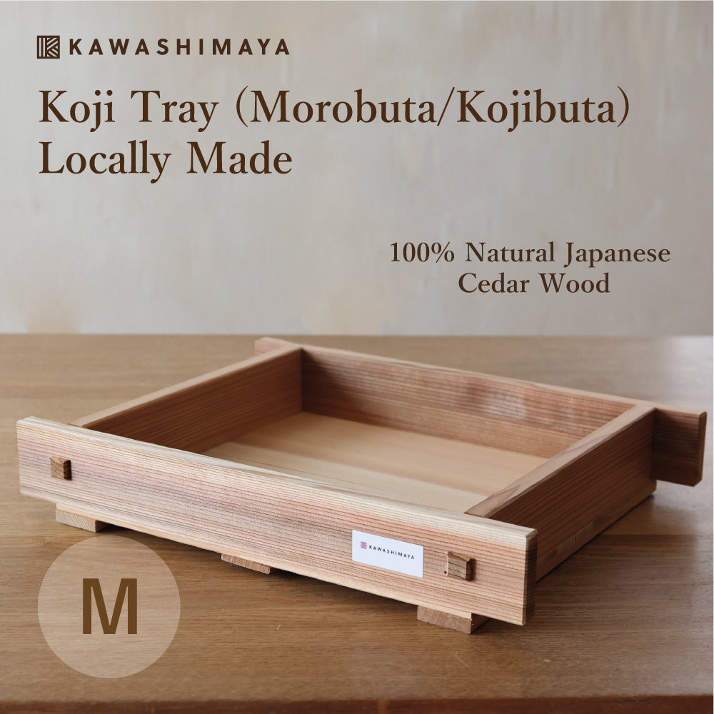 Koji Tray (Morobuta/Kojibuta) Size M - Locally Made, 100% Natural