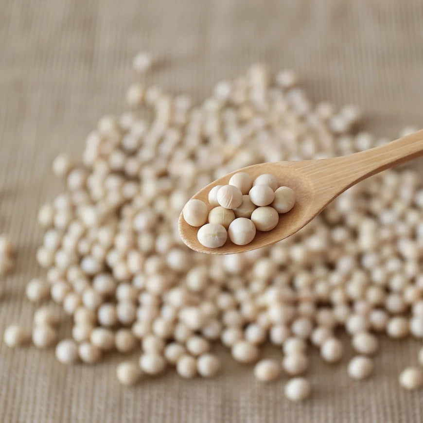 Hokkaido Large Grain Soybeans "Yukihomare" 500g -  Pesticide Free, Chemical Free