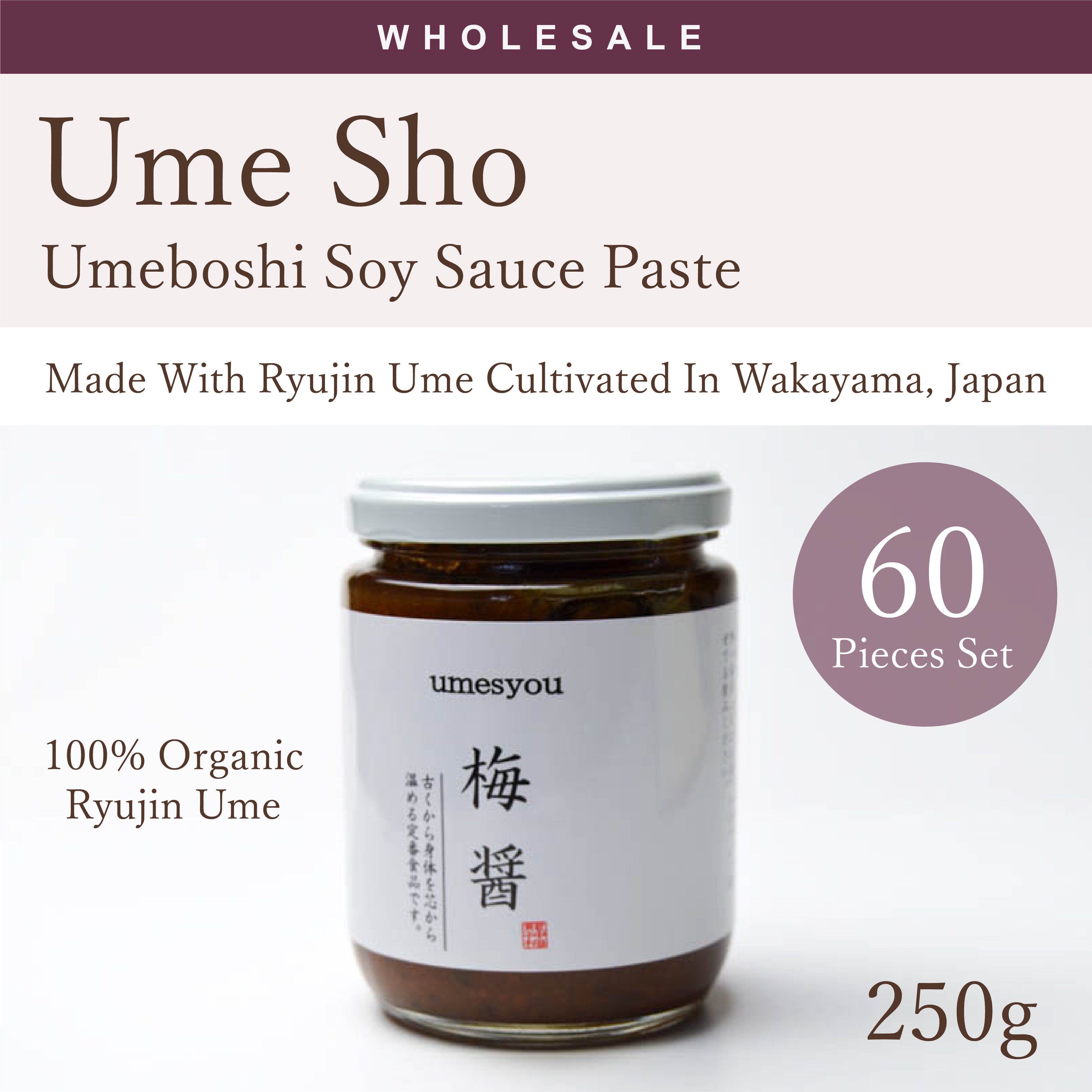 [Wholesale 60pc] Umesho (Umeboshi Plum Soy Sauce Paste) 250g Made Wi kawashimaya the japanstore