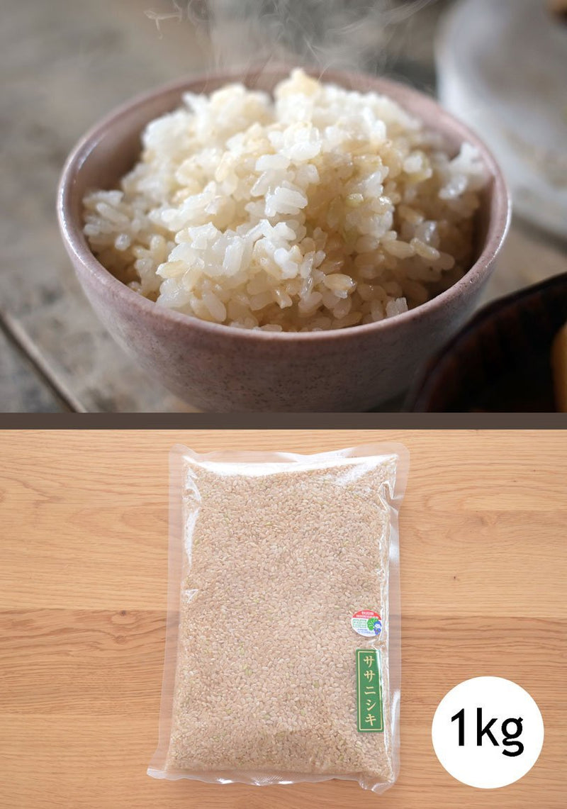 Pesticide-Free "Sasanishiki" Brown Rice 1 Kg